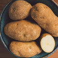 Russet Potato
