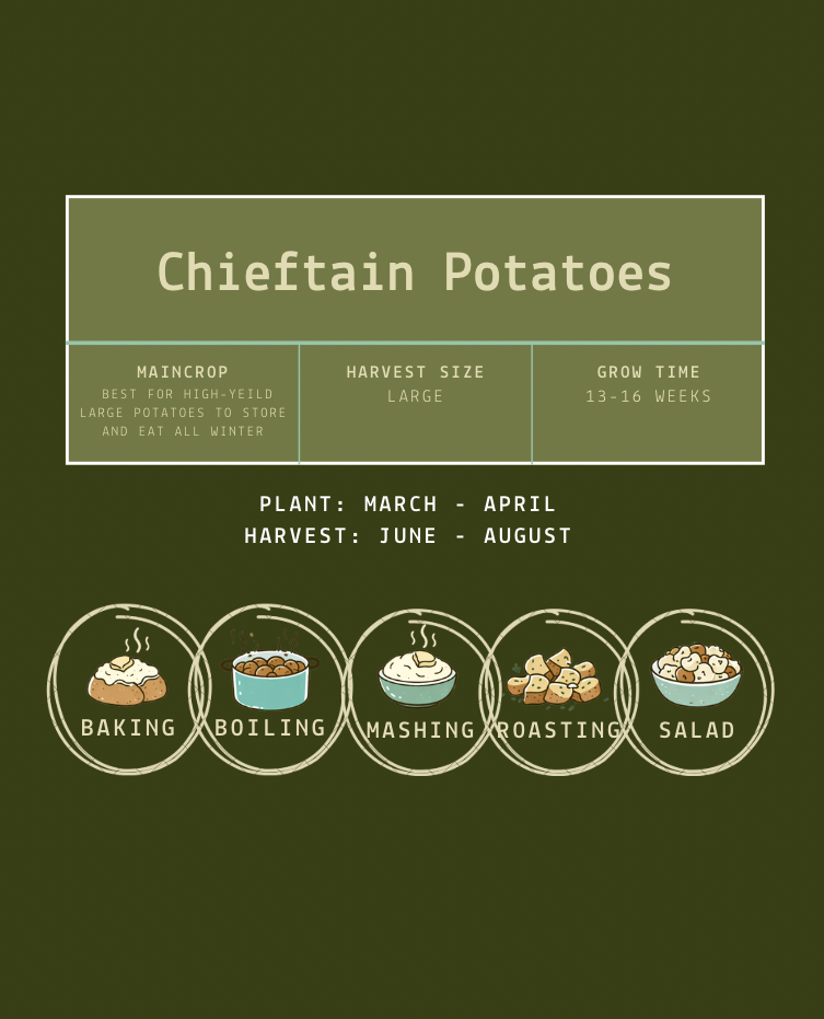 Chieftain Seed Potatoes