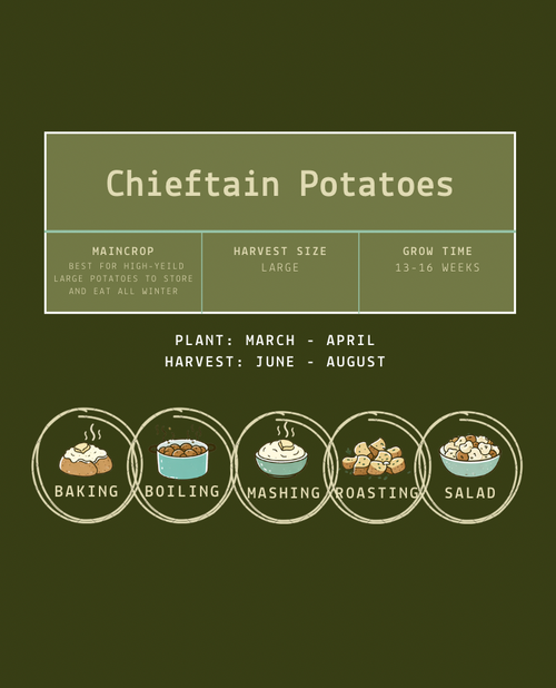 Chieftain Seed Potatoes
