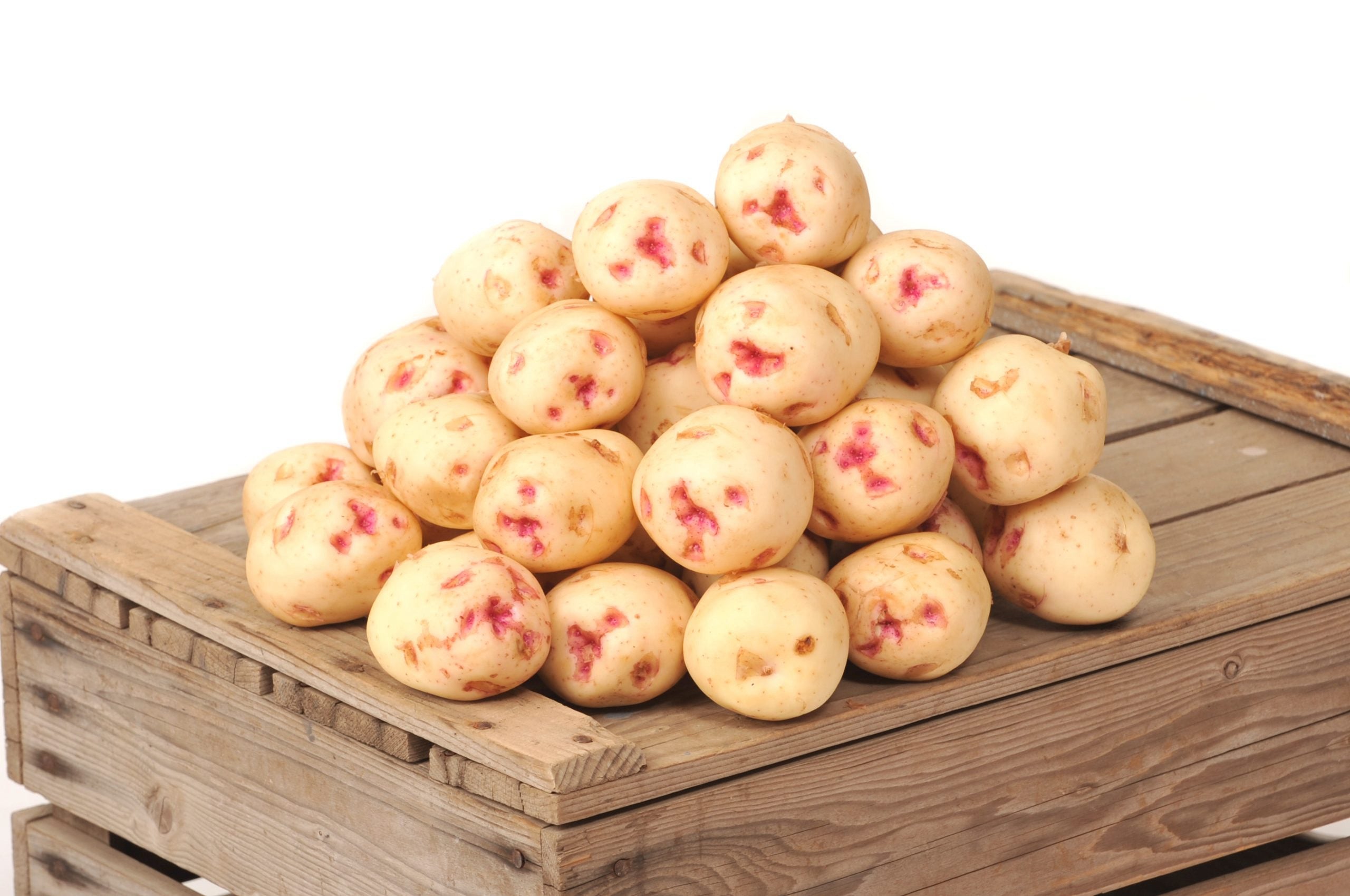 warba potatoes 